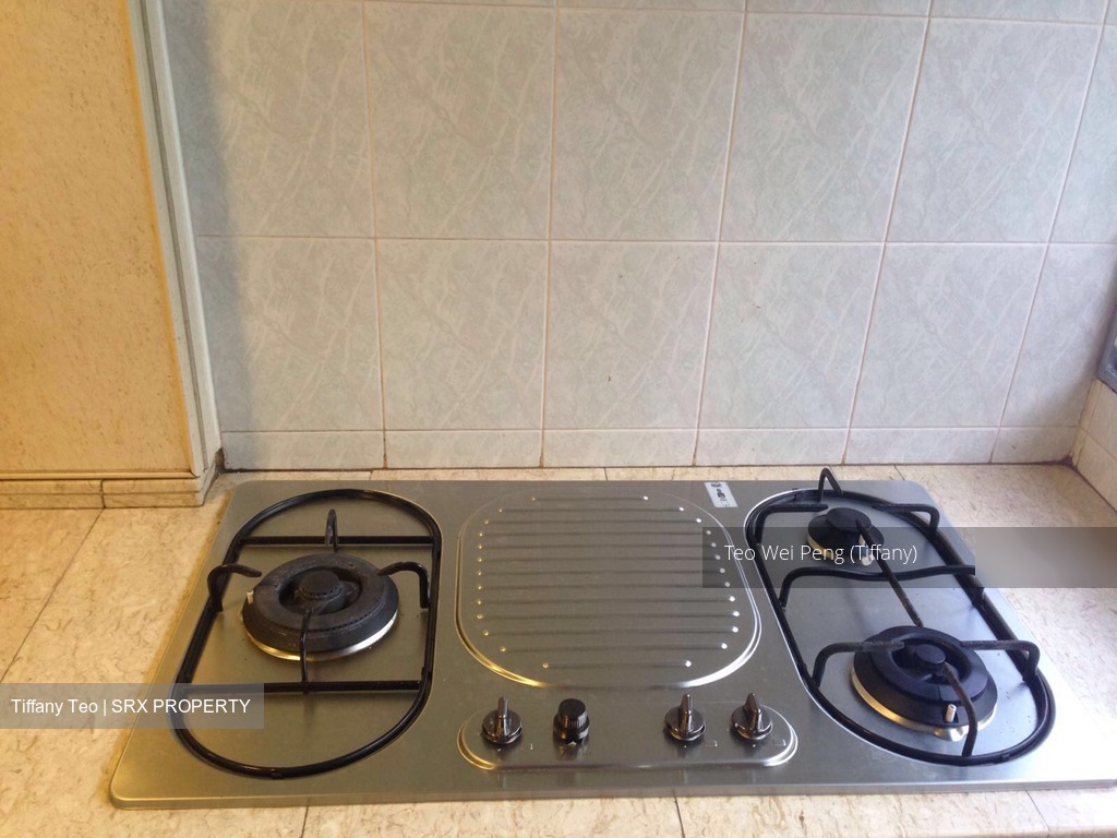 Blk 1 Tanjong Pagar Plaza (Central Area), HDB 3 Rooms #170488642